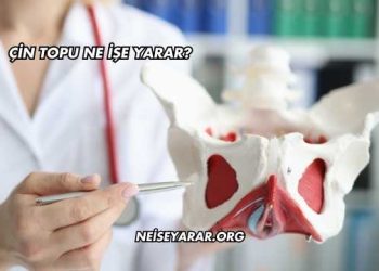 Çin Topu Ne İşe Yarar?