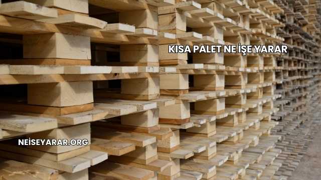 Kısa Palet Ne İşe Yarar