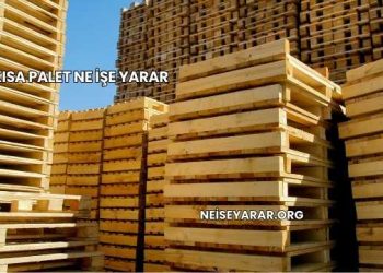 Kısa Palet Ne İşe Yarar