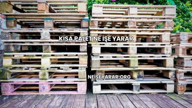 Kısa Palet Ne İşe Yarar