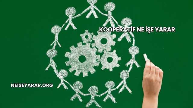 Kooperatif Ne İşe Yarar