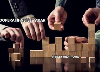 Kooperatif Ne İşe Yarar
