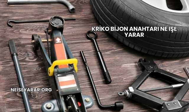 Kriko Bijon Anahtarı Ne İşe Yarar