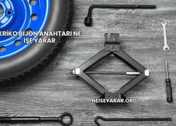 Kriko Bijon Anahtarı Ne İşe Yarar