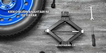 Kriko Bijon Anahtarı Ne İşe Yarar