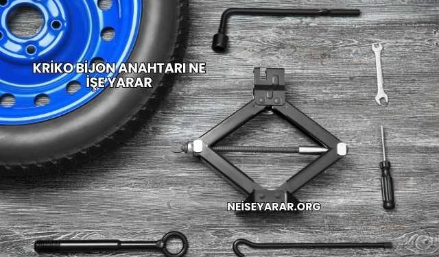 Kriko Bijon Anahtarı Ne İşe Yarar