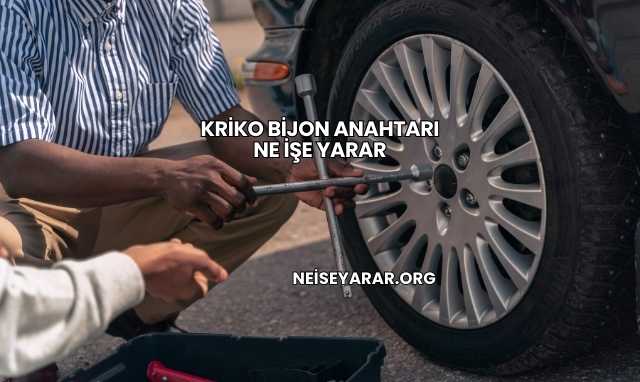 Kriko Bijon Anahtarı Ne İşe Yarar