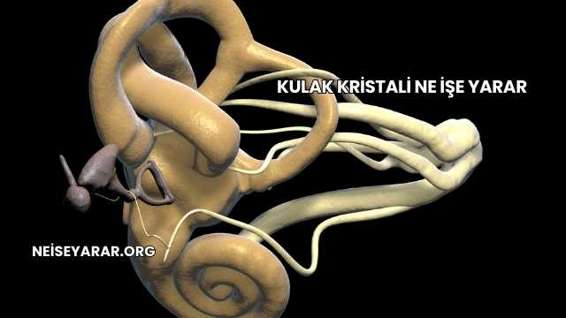 Kulak Kristali Ne İşe Yarar