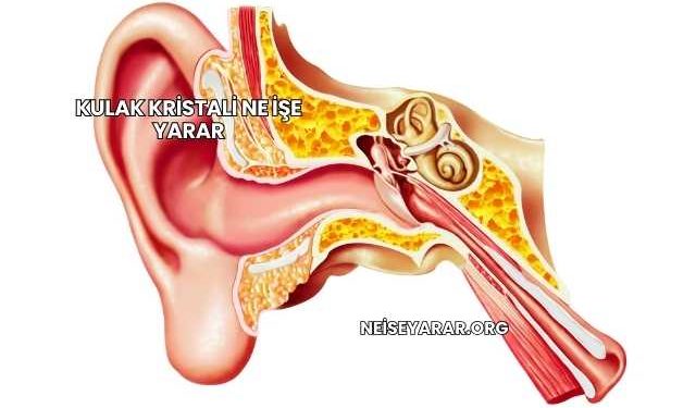 Kulak Kristali Ne İşe Yarar