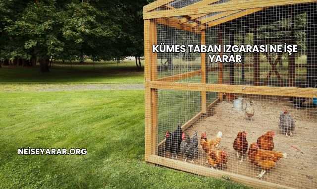 Kümes Taban Izgarası Ne İşe Yarar