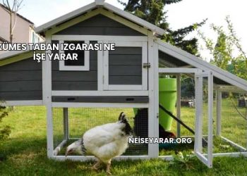 Kümes Taban Izgarası Ne İşe Yarar