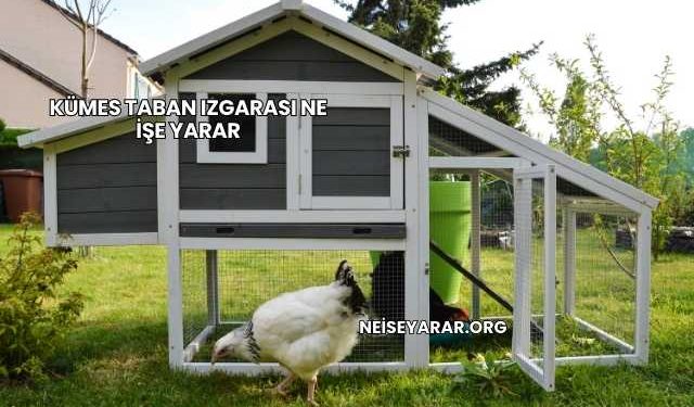 Kümes Taban Izgarası Ne İşe Yarar