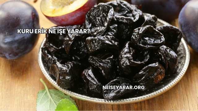Kuru Erik Ne İşe Yarar?