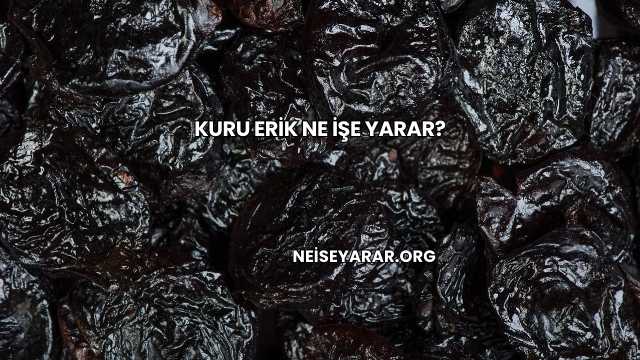Kuru Erik Ne İşe Yarar?
