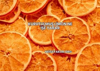 Kurutulmuş Limon Ne İşe Yarar