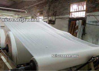 Küspe Ne İşe Yarar