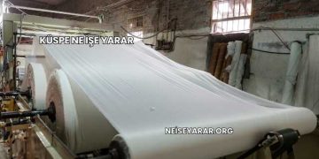 Küspe Ne İşe Yarar