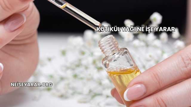 Kütikül Yağı Ne İşe Yarar
