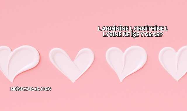 L Arginine L Ornithine L Lysine Ne İşe Yarar?
