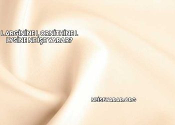 L Arginine L Ornithine L Lysine Ne İşe Yarar?