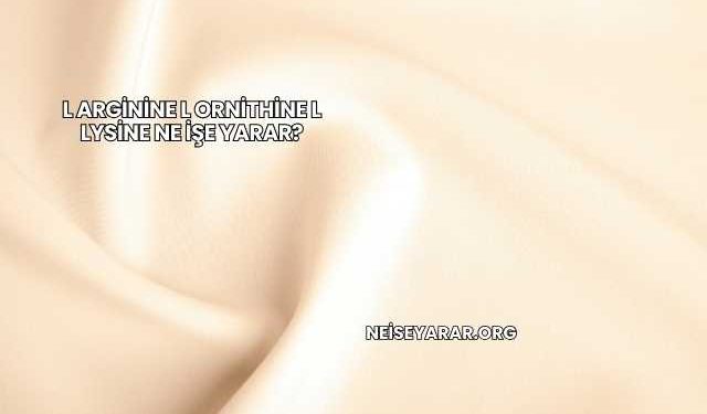 L Arginine L Ornithine L Lysine Ne İşe Yarar?