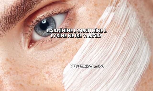 L Arginine L Ornithine L Lysine Ne İşe Yarar?