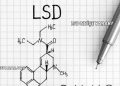 LSD Ne İşe Yarar?
