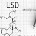 LSD Ne İşe Yarar?