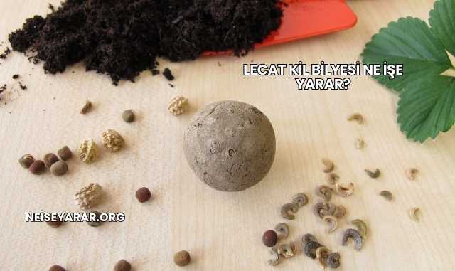 Lecat Kil Bilyesi Ne İşe Yarar?