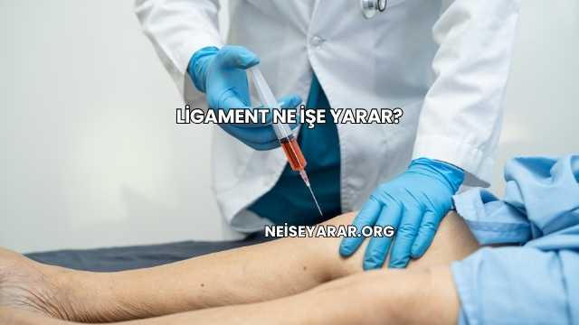 Ligament Ne İşe Yarar?