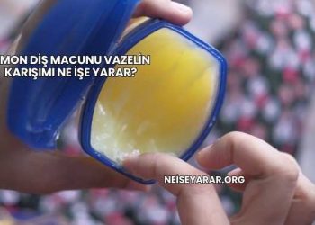 Limon Diş Macunu Vazelin Karışımı Ne İşe Yarar?