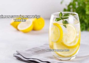 Limon Suyu İçmek Ne İşe Yarar?