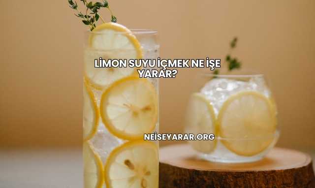 Limon Suyu İçmek Ne İşe Yarar?