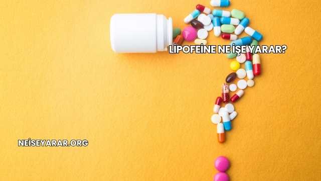 Lipofeine Ne İşe Yarar?