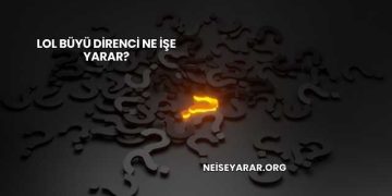 LoL Büyü Direnci Ne İşe Yarar?