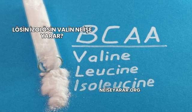 Lösin İzolösin Valin Ne İşe Yarar?