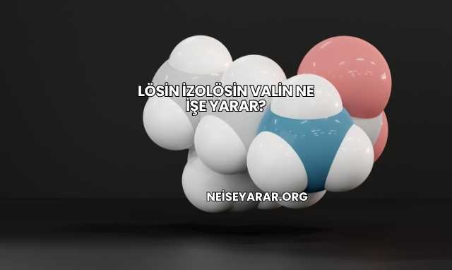 Lösin İzolösin Valin Ne İşe Yarar?