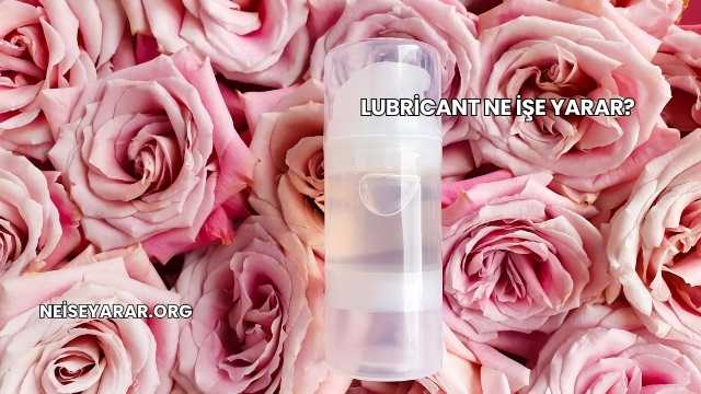 Lubricant Ne İşe Yarar?