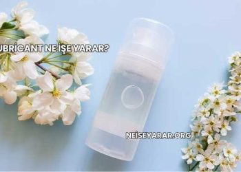 Lubricant Ne İşe Yarar?