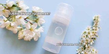 Lubricant Ne İşe Yarar?