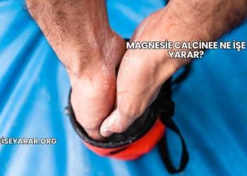 Magnesie Calcinee Ne İşe Yarar?