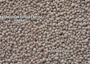 Magnezyum Fosfat Ne İşe Yarar?