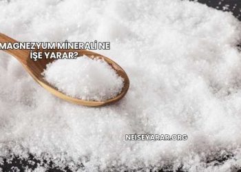 Magnezyum Minerali Ne İşe Yarar?