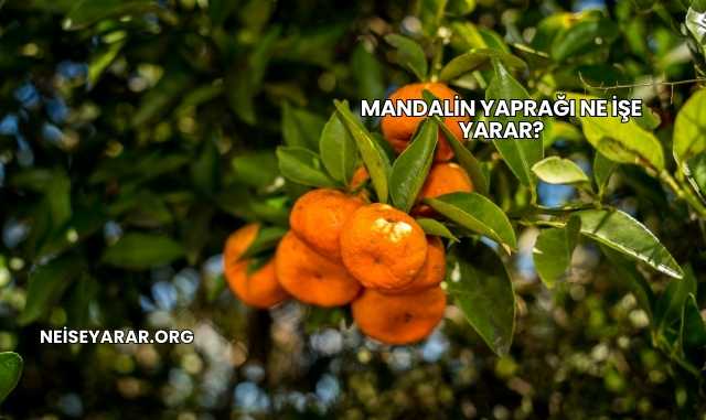 Mandalin Yaprağı Ne İşe Yarar?