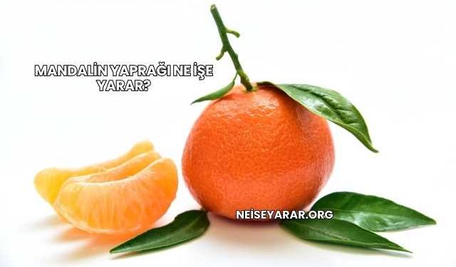 Mandalin Yaprağı Ne İşe Yarar?