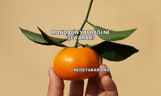 Mandalin Yaprağı Ne İşe Yarar?