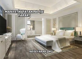 Manyetik Yatak Ne İşe Yarar?