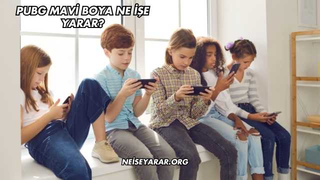 Pubg Mavi Boya Ne İşe Yarar?