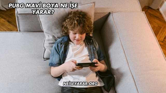 Pubg Mavi Boya Ne İşe Yarar?