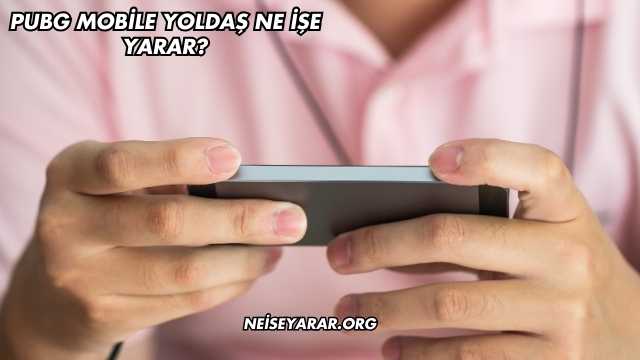 Pubg Mobile Yoldaş Ne İşe Yarar?